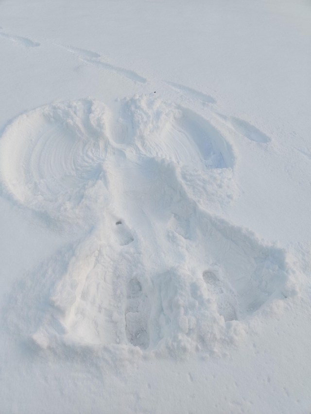 Image of a "snow angel" - an imprint in the snow created by someone who laid down and moved their arms and legs to leave an imprint that looks like an angel.