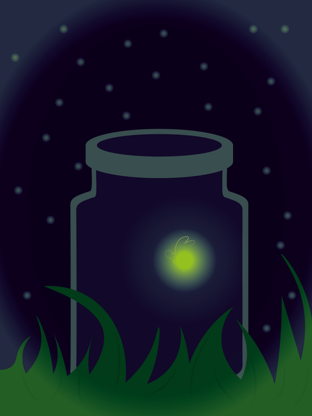 A drawing of a firefly glowing green in a jar at night, sitting on the green grass outdoors