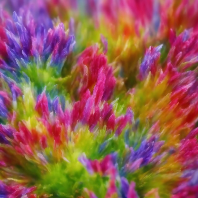 lots of colors