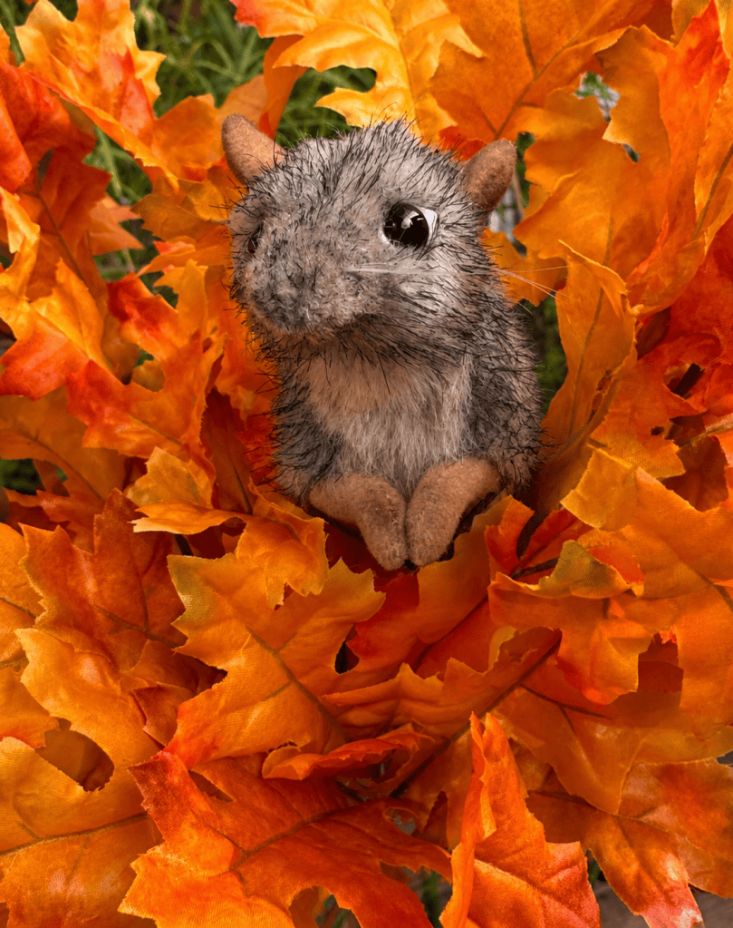 Evert the shrew surrounded by autumn leaves, appearing small among the changing fall landscape.