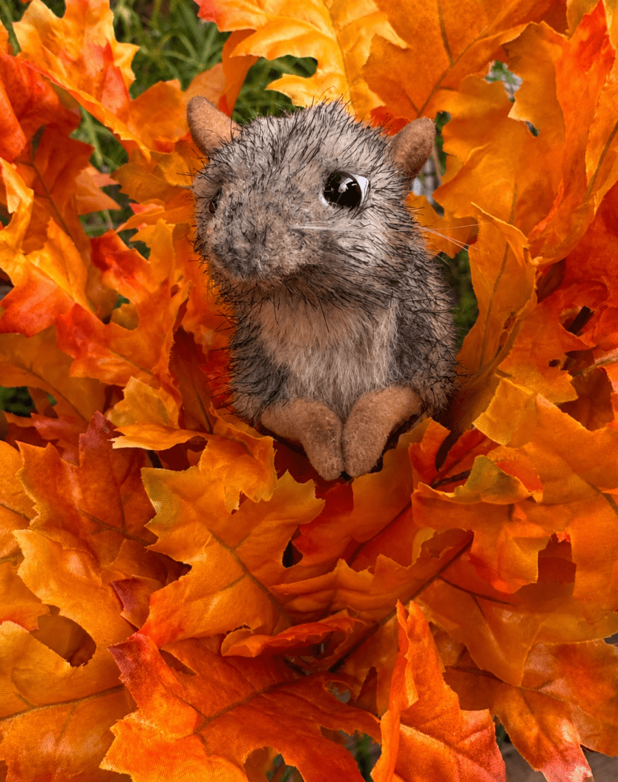 Evert the shrew surrounded by autumn leaves, appearing small among the changing fall landscape.