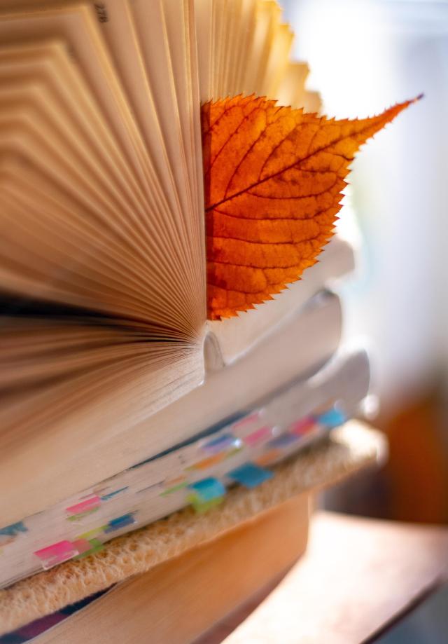 a book with an orange autumn leaf tucked within its pages