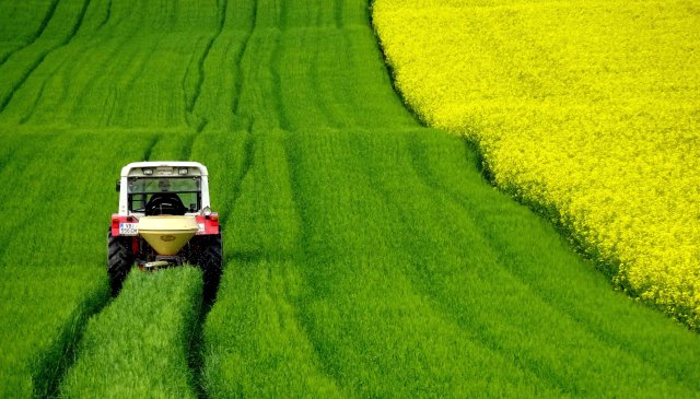 An tractor moving across one of the many rows in a green field of soybeans and crops
