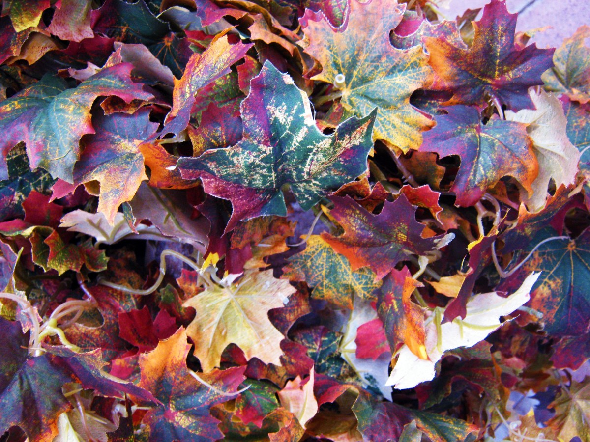 Fall’s Festival Of Imaginary&nbsp;Fun
